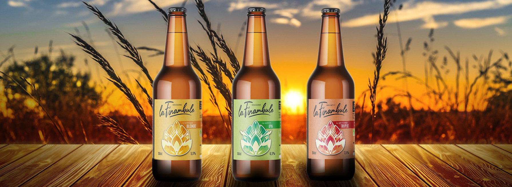 BIERES_HC-1024x375-1